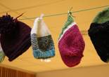 IMG_3981 (1280x853).jpg (63743 bytes)